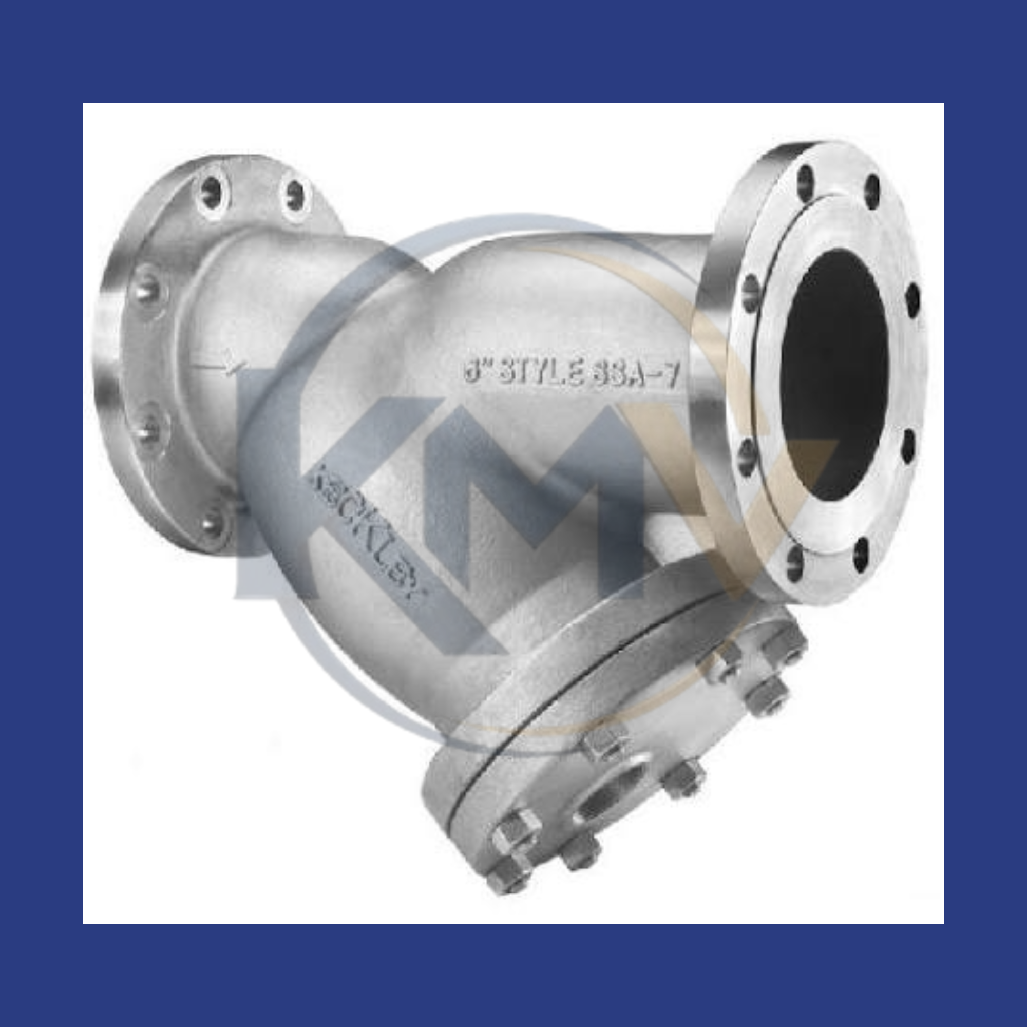 Stainless Steel Y-Strainer